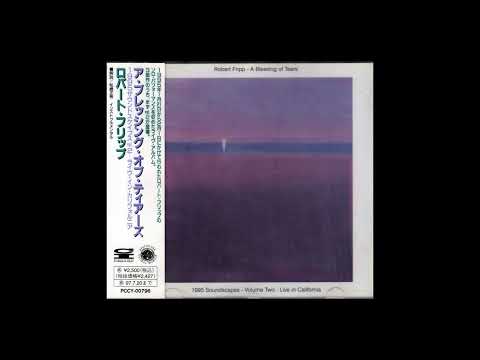 (432 HZ) Robert Fripp - A Blessing of Tears [Full Album]