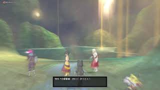初心者のドラクエX 配信