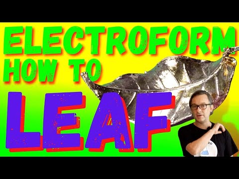 How To Make An Electroformed Leaf Step By Step Tutorial
