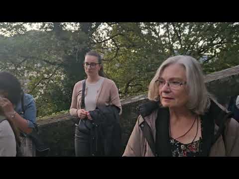 Križni put svete Maravillas u Lurdu