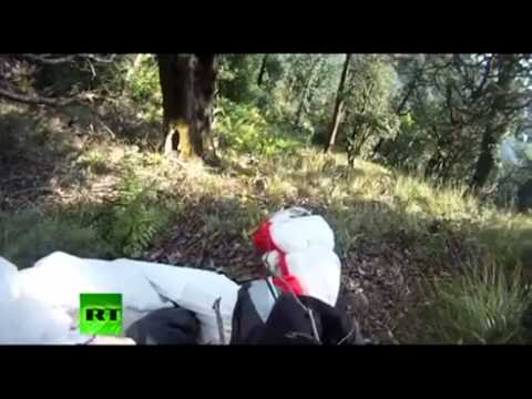 Amazing video Vulture rams paraglider mid-air both survive !!!