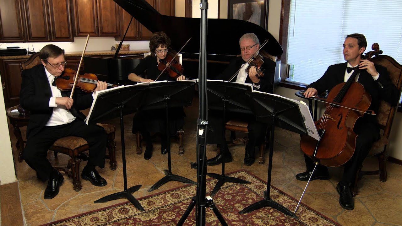 Promotional video thumbnail 1 for Phoenix String Quartet