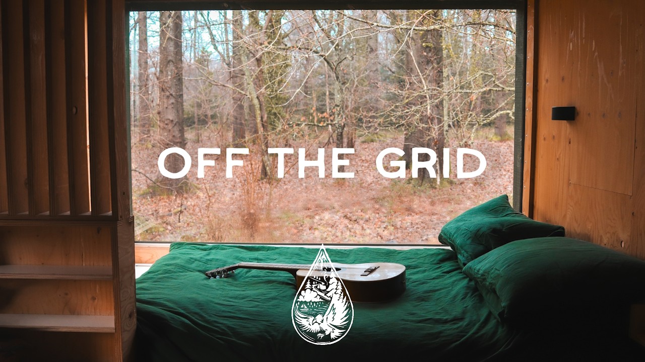 Off the Grid  🏕️  • An Indie Folk Escape to the Forest (Playlist)