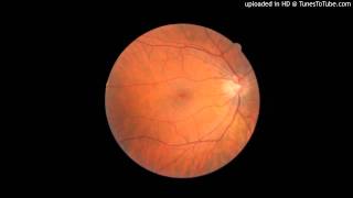 Olli Ahvenlahti - Samba Town