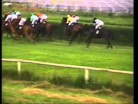 Galopprennbahn Dresden - 13.08.2011