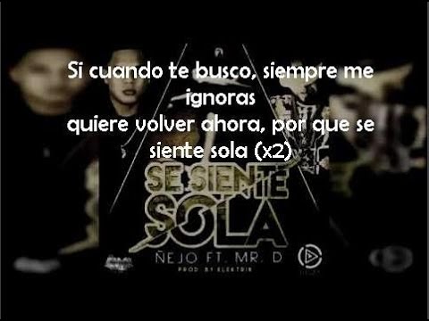 Video Se Siente Sola (letra) de Ñejo 