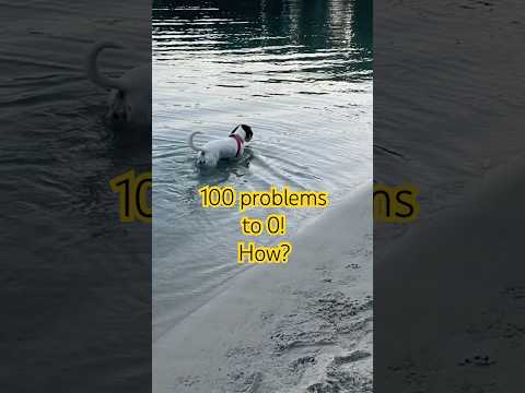 No problem! #problem #100problemas #chill #happness #marmaris #sea #dog