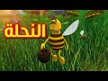 النحلة - طيور بيبي | Toyor Baby mp3