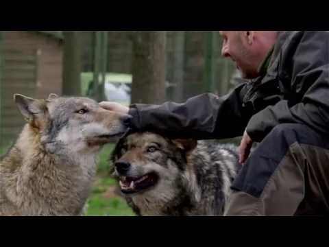 SAVING ISEGRIM Trailer 2016