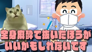 親知らず抜くだけで全身麻酔で手術することになってしまった話【猫ミーム】