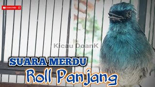 Download lagu SUARA MERDU ROLL PANJANG BURUNG SITRUN ‼️SIKATAN NINON GACOR DOR mp3
