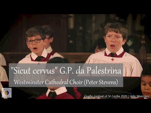 Palestrina "Sicut cervus" | Westminster Cathedral Choir (Peter Stevens) | Help Musicians UK