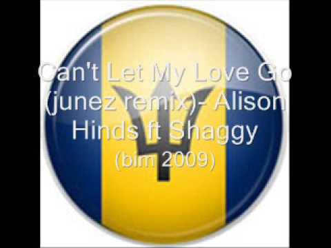 Can't Let My Love Go (soca remix)- Alison Hinds ft Shaggy (BIM 2009)