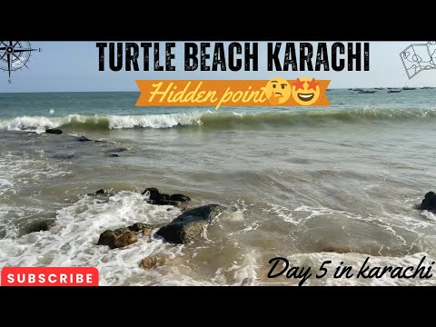 Day 5 in karachi|Turtle beach karachi|New point dhond liya🤩|Relaxing view|