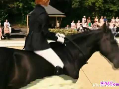 Musikvideo (Ostwind 2)