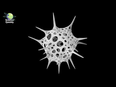 Nanocosmos: Exploring the Hidden Beauty of the Microscopic World