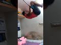 Enga Pullingelam Vera Vera Vera Levelu