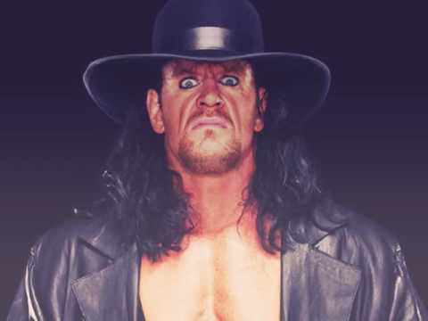 Wwe top 5 fighter|undertaker|Brock|john cena|Batista's|roman reign