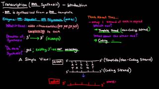 Transcription (Part 1 of 6) - Introduction