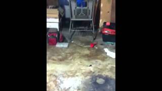 Plastic bottle BOTTLE ROCKET