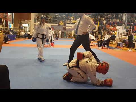 European King of Taekwondo 2019