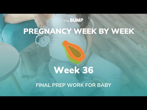 This week in Babyland (Week 36)