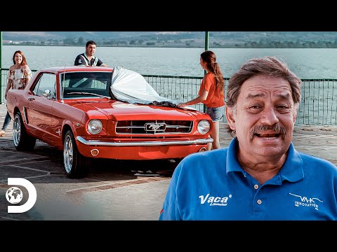 Asombrosa restauración de Mustang 65 ¡de chatarra a tesoro! | Mexicánicos | Discovery Latinoamérica