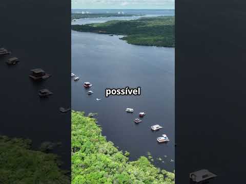 A Floresta Amazônica vista do espaço: curiosidades e mistérios da maior selva do mundo!