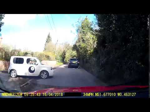 Cramm Cam - Poking Her Nose Out - Chandlers Lane, Watford