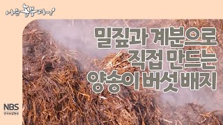 [나는농부다 235회] 밀짚과 계분으로 직접 만드는 양송이 버섯 배지