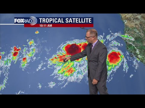 Tropical Weather Forecast - August 8, 2022