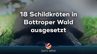 18 Schildkröten in Bottroper Wald ausgesetzt