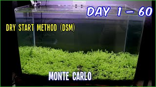 [MUDAH!] Cara Tanam Karpet Aquascape dengan Dry Start Method (DSM)