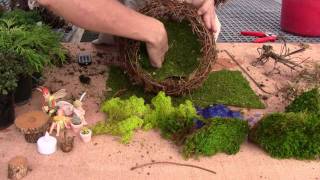 preview picture of video 'How to Plant a Willow Fairy Sphere for Indoor (part 2)'