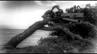 Woven Hand - last fist