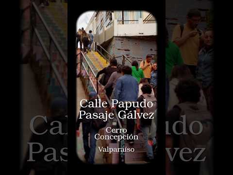 Calle Papudo y Pasaje Galvez #chile #valparaiso