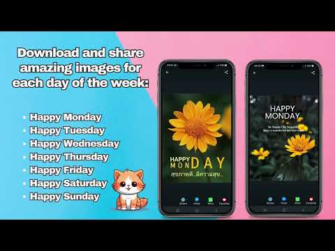 Best Wishes: For all Occasions Video