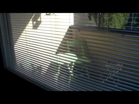 nyt on safkattu ja kyl on  kuumaa