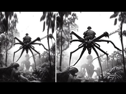 5 Unsolved Mysteries Of The Congo Jungle That Cannot Be Explained