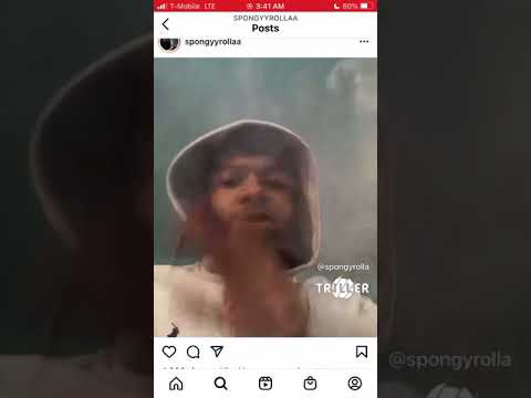 Deuce floxks x spongy rolls