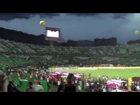 "Tifo FInal Liga Aguila 2015- II Nacional Campeon. atletico Nacional 1 Junior 0." Barra: Los del Sur • Club: Atlético Nacional