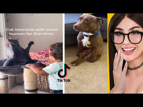 TIKTOKS THAT WILL DESTROY YOUR BOREDOM | SSSniperWolf