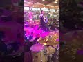La Muchacha Interesada Envivo Baterista De Josétorreselreydealtomando