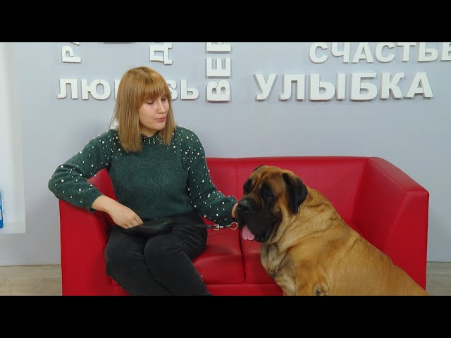 Рубрика "Живая среда"