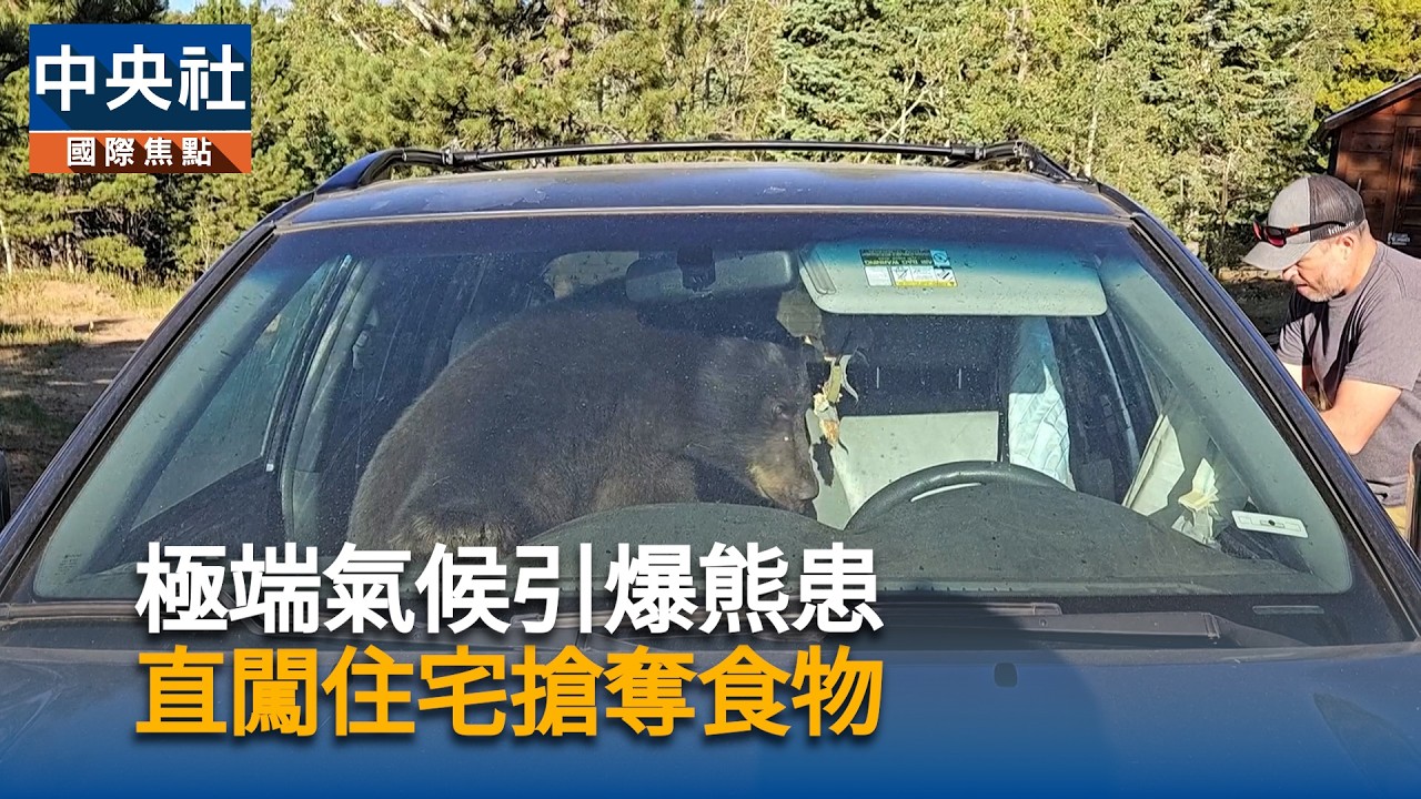 美罕見乾旱黑熊缺糧 直闖住宅搶奪食物