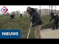 Haagse werklozen krijgen jaarcontract via gemeente Den Haag - OMROEP WEST