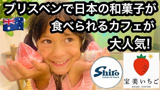 ブリスベンで日本のスイーツ🍡オーストラリアでアジアの食べ物とメイク用品が大人気🇦🇺ブリスベンシティで、ハーフっ子娘と、わらび餅と苺大福とほうじ茶ラテ🧋【ブリスベンでアジアの波がキテる】【海外日本食人気
