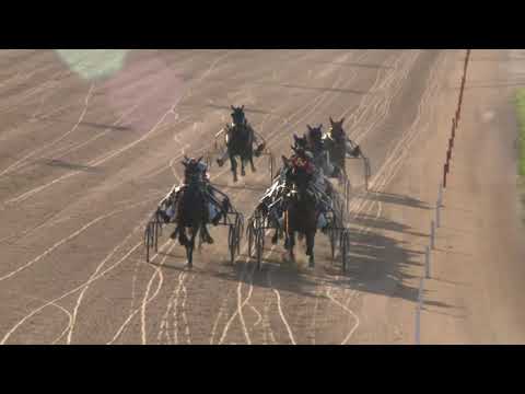 2019.08.17. 10. futam - TALÁNY HENDIKEP