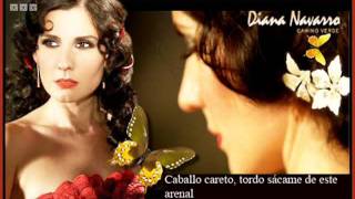 Diana Navarro Una Paloma Blanca Con Letra   YouTube