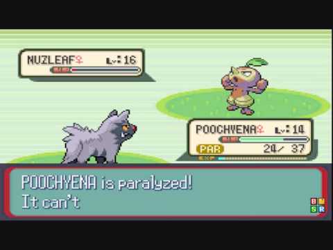 pokemon ruby part 17 the pokemon hunt annoying